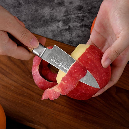 Damascus Paring Knife 3.5”, Peeler for Fruit, 73 Layers Damascus Steel Small fruit Knife with 10Cr15CoMoV Cutting Core, White Shadow Wood Handle, for Home & Restaurant, 2026 Gift