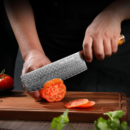Damascus Paring Knife 3.5”, Peeler for Fruit, 73 Layers Damascus Steel Small fruit Knife with 10Cr15CoMoV Cutting Core, White Shadow Wood Handle, for Home & Restaurant, 2026 Gift