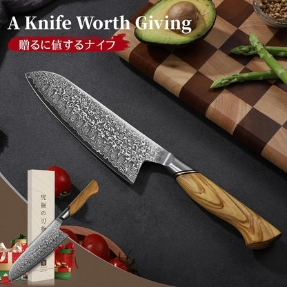TIVOLI Japanese Gyuto Knife 10 Inch– VG-10 Damascus Chef Knife with Razor Sharp Blade and Ergonomic Olive Wood Handle, Ideal for Meat, Vegetables & Daily Cooking