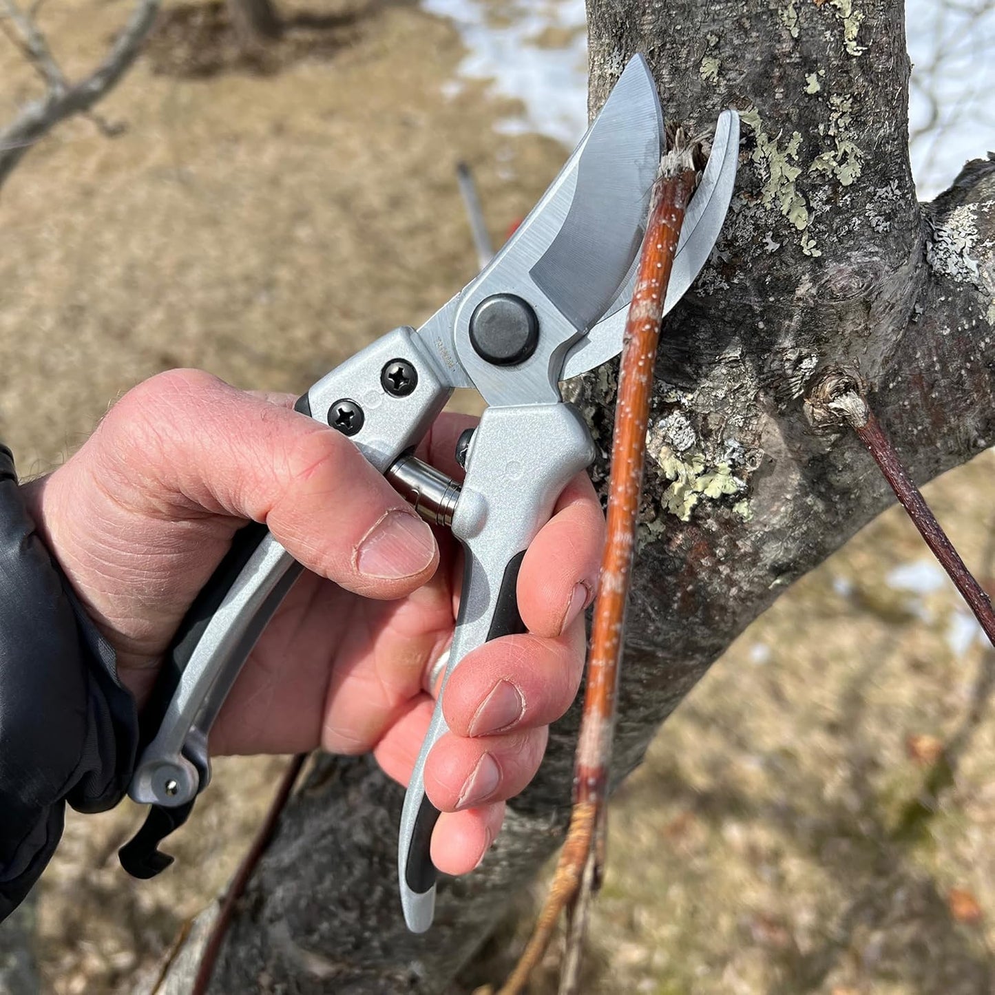 Pruning Shears - Garden Scissors Florist Snips - 2.5” Blades - Flower Scissors for Cutting Fresh Flowers, Trimming, or Harvesting Herbs or Fruit - Pruners for Gardening Tools by Kings County Tools