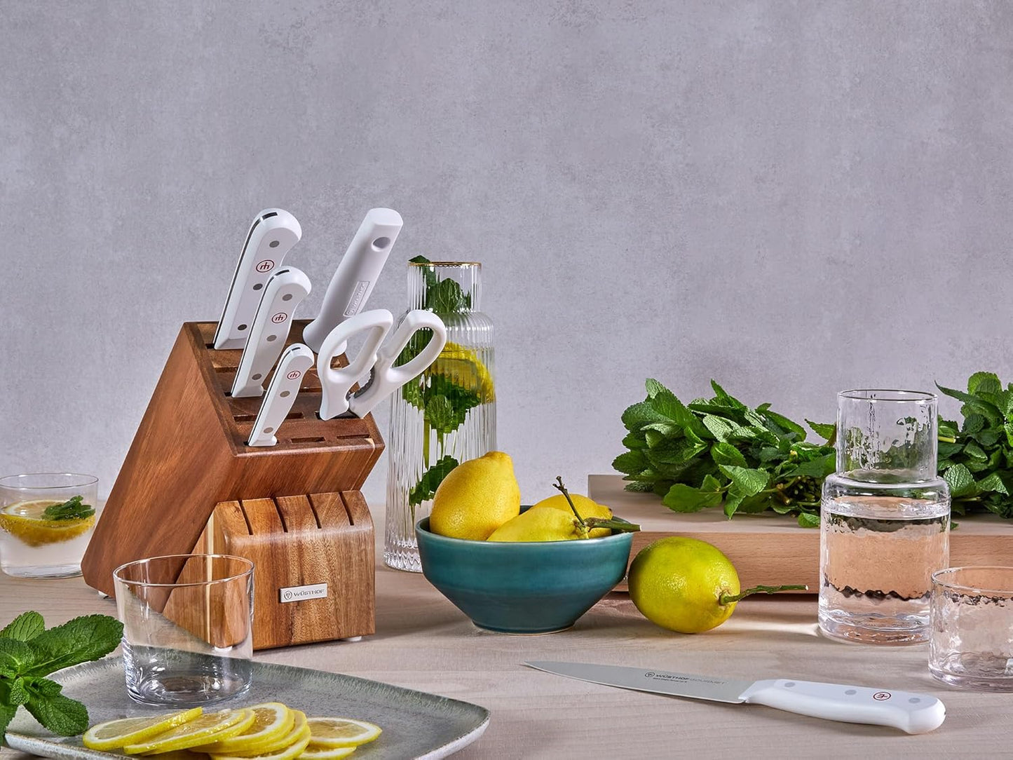 WÜSTHOF Gourmet White Nine Piece Steak Knife In-Drawer Set
