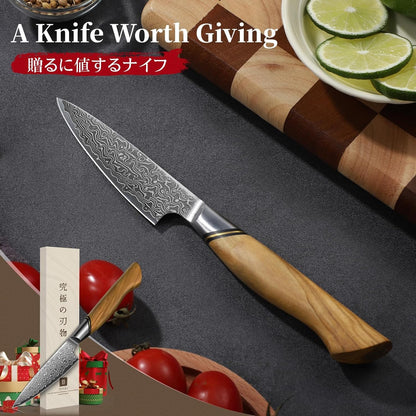 TIVOLI Japanese Gyuto Knife 10 Inch– VG-10 Damascus Chef Knife with Razor Sharp Blade and Ergonomic Olive Wood Handle, Ideal for Meat, Vegetables & Daily Cooking