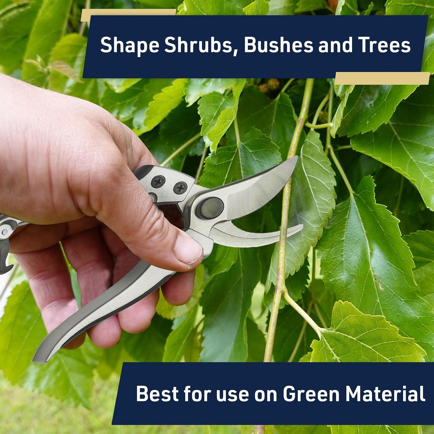 Pruning Shears - Garden Scissors Florist Snips - 2.5” Blades - Flower Scissors for Cutting Fresh Flowers, Trimming, or Harvesting Herbs or Fruit - Pruners for Gardening Tools by Kings County Tools