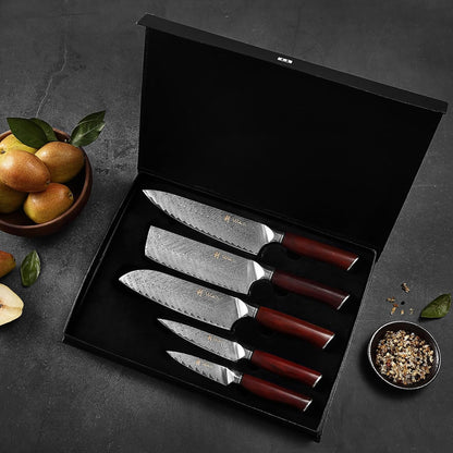 Wakoli Damascus Chef Knife Set with Magnetic Block – 5-Piece Professional Kitchen Knife Block Set, Genuine 67-Layer Damascus Steel Blades with VG10 Core & Ergonomic Sycamore Wood Handles