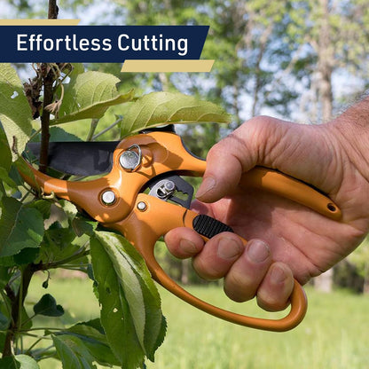 Pruning Shears - Garden Scissors Florist Snips - 2.5” Blades - Flower Scissors for Cutting Fresh Flowers, Trimming, or Harvesting Herbs or Fruit - Pruners for Gardening Tools by Kings County Tools