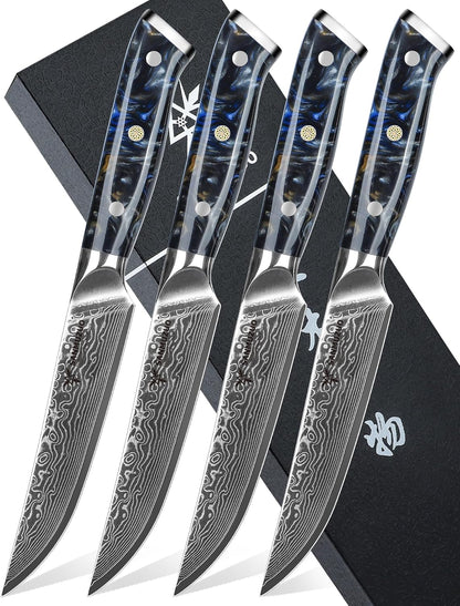 Steak Knives Set of 4, Ultra Sharp Non Serrated Kitchen Steak Knife 5 Inch - Damascus Steel & Resin Handle - Xuan Series (Sapphire Blue)