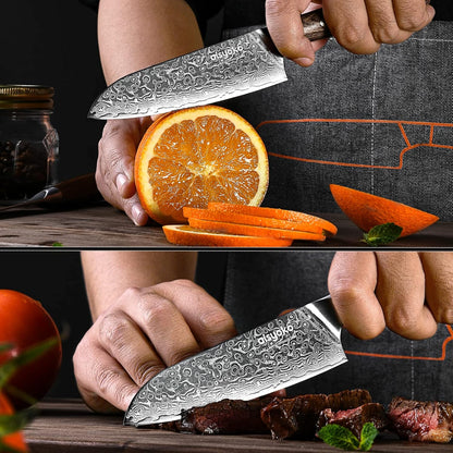 5-Inch Paring Knife - Japanese VG-10 Super Steel 67-Layer Damascus Blade - Fruit Utility Knife for Carving & Peeling - Luxury Gift Box with Color Wooden Handle - Includes Scabbard