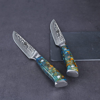 WILDMOK Steak Knife Set 4pc Full Tang 5 inch Forged Damascus Steel Dinner Knives Full Tang Ergonomic Beautiful Resin Handle