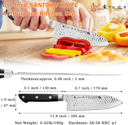 8 Inch Japanese Chef Knife, Made in Japan, Full Tang High Carbon Molybdenum Stainless Steel Gyuto Knife with Hammered Finish for Rock Chopping Meat, Fish and Vegetables
