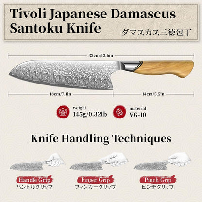 TIVOLI Japanese Gyuto Knife 10 Inch– VG-10 Damascus Chef Knife with Razor Sharp Blade and Ergonomic Olive Wood Handle, Ideal for Meat, Vegetables & Daily Cooking