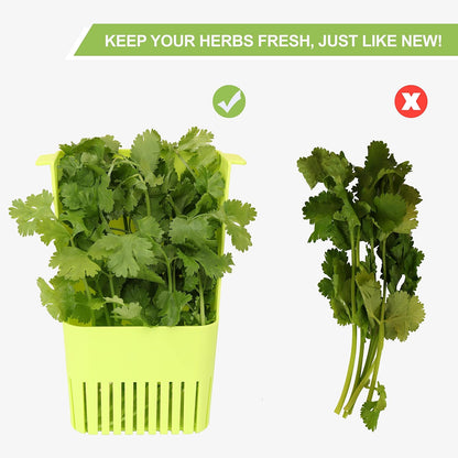 LUVCOSY Herb Keeper Set: 3 Pack Herb Saver+1 Pack Herb Scissors+2 Pack Herb Stripper, BPA-Free Plastic Herb Container for Cilantro, Mint & Asparagus, Keeps Fresh Herbs for 3 Times Longer