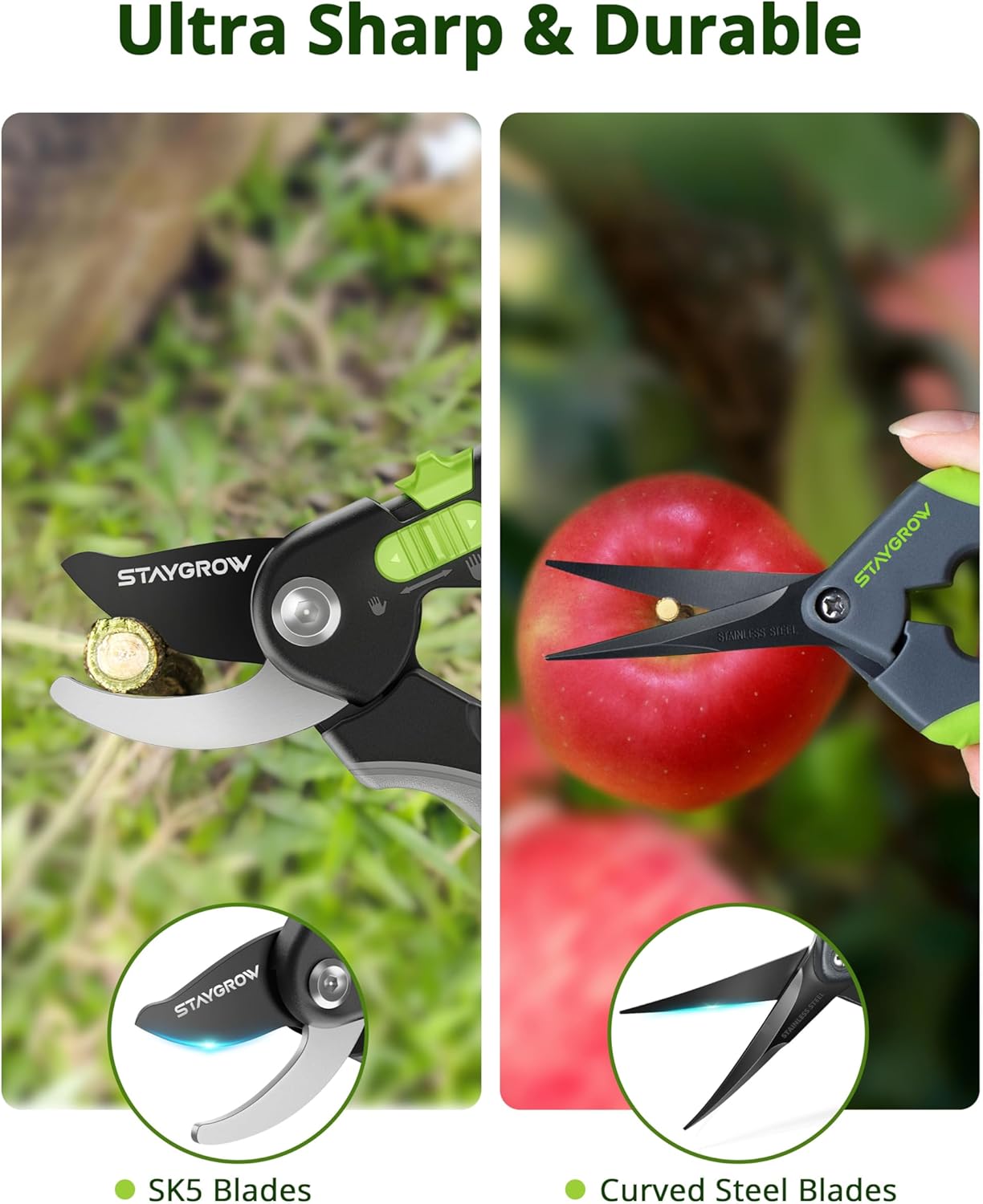 2pcs 6.5" Pruning Shears for Gardening, Ultra Sharp Garden Scissors for Precise Cuts, Stainless Steel Bonsai Clippers with Spring Loaded, 6.5 Inch Garden Shears (1pc Straight & 1pc Curved)