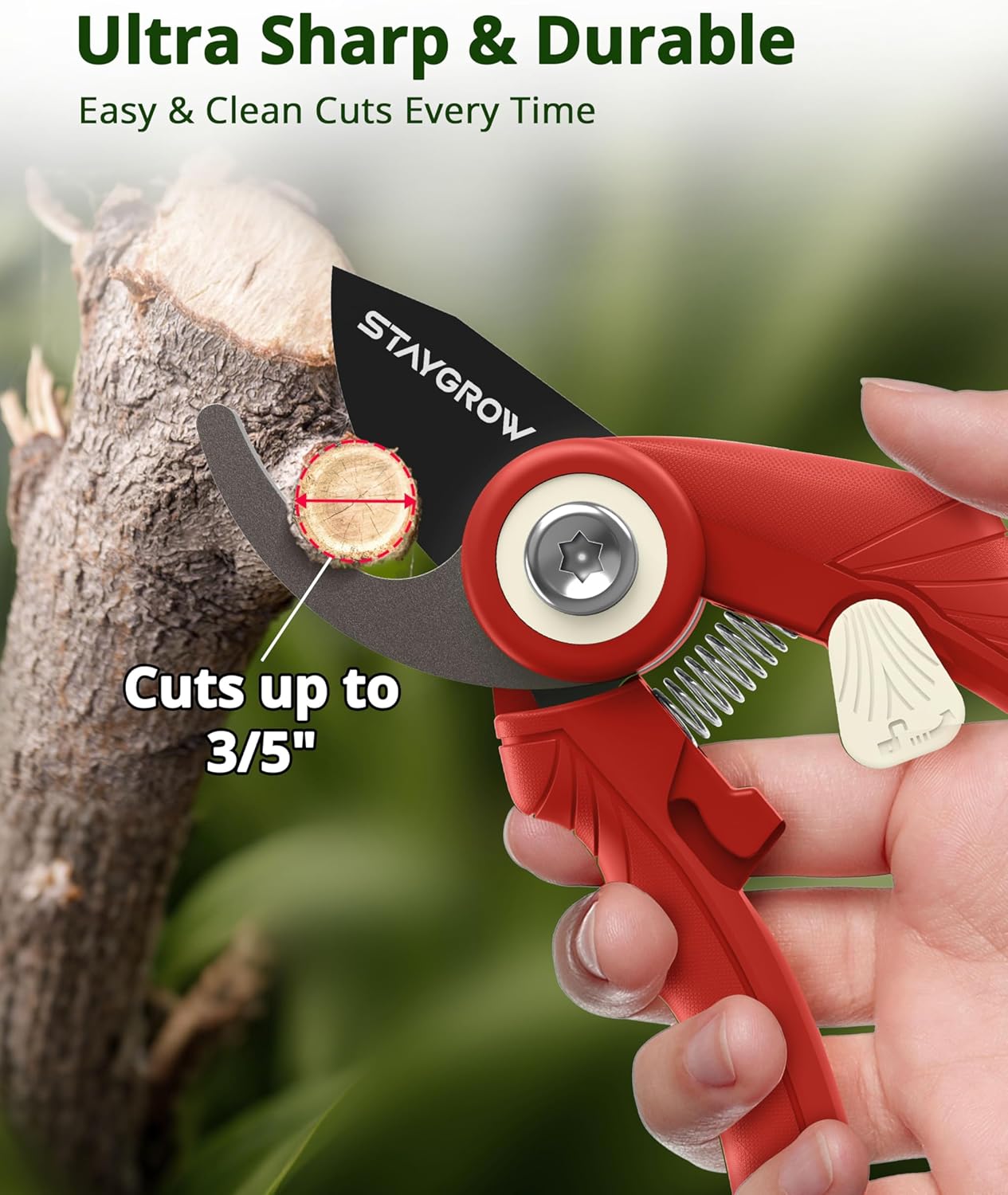 2pcs 6.5" Pruning Shears for Gardening, Ultra Sharp Garden Scissors for Precise Cuts, Stainless Steel Bonsai Clippers with Spring Loaded, 6.5 Inch Garden Shears (1pc Straight & 1pc Curved)