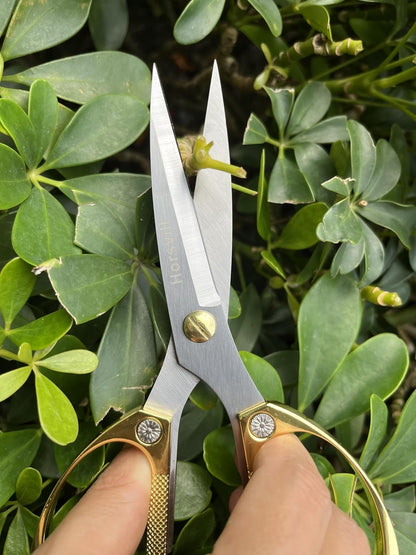 Indoor Plant Shears Garden Scissors, Flower Pruners Made of Japan SK5 Stainless Steel, Flowers Herbs and Plant Cutters, Clippers, Trimmers, Loppers, Bonsai Potted Plant Pruning Scissors