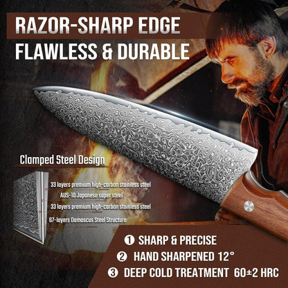 DRAGON RIOT Damascus Boning Knife 6 inch, Professional VG-10 Steel Japanese Fillet Knife, Flexible Deboning Knife,Kitchen Trimming Knife with Ergonomic Wood Handle, Premium Gift Box