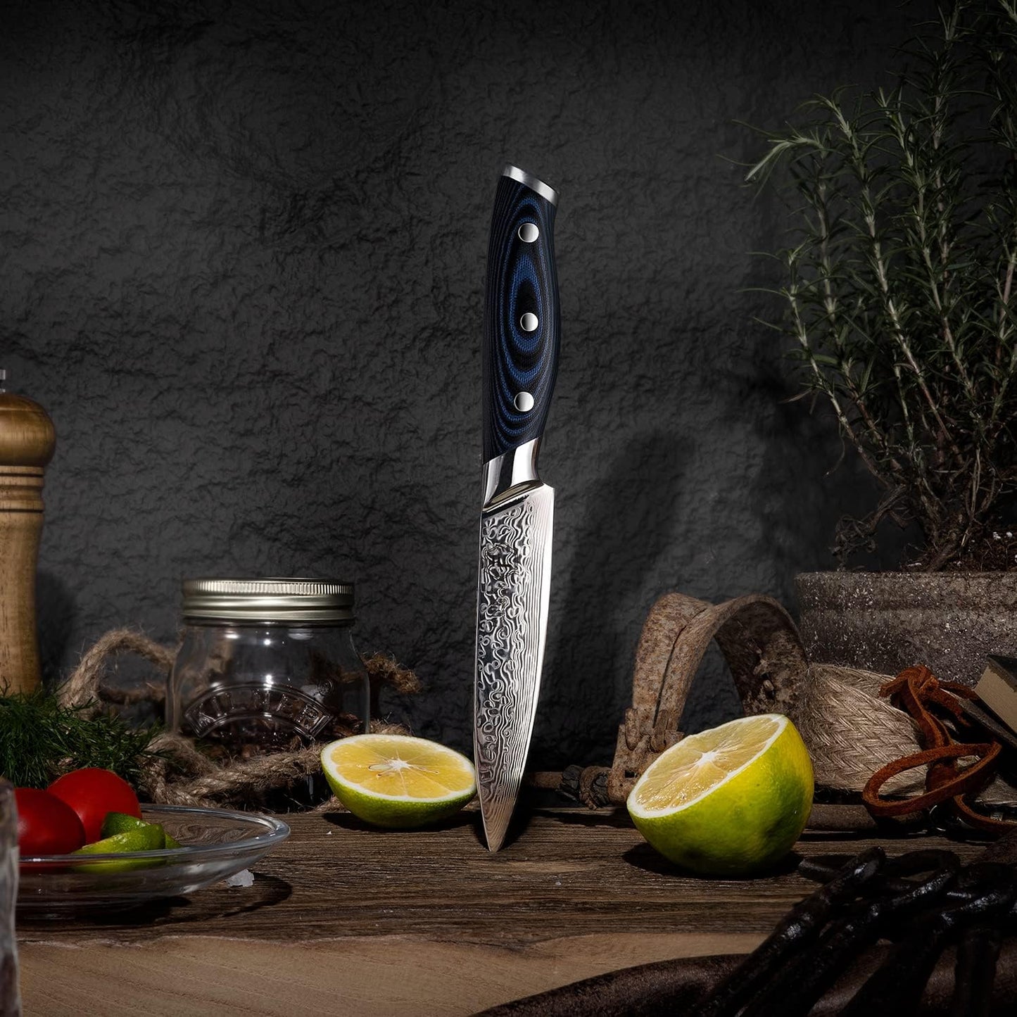 FANTECK 6 Inch Boning Fillet Knife,Damascus Japanese 67 Layer Professional Sharp Curved Flexible Blade Kitchen Chef Knives with Sheath for Fish Poultry Chicken Meat Cutting,G10 Handle