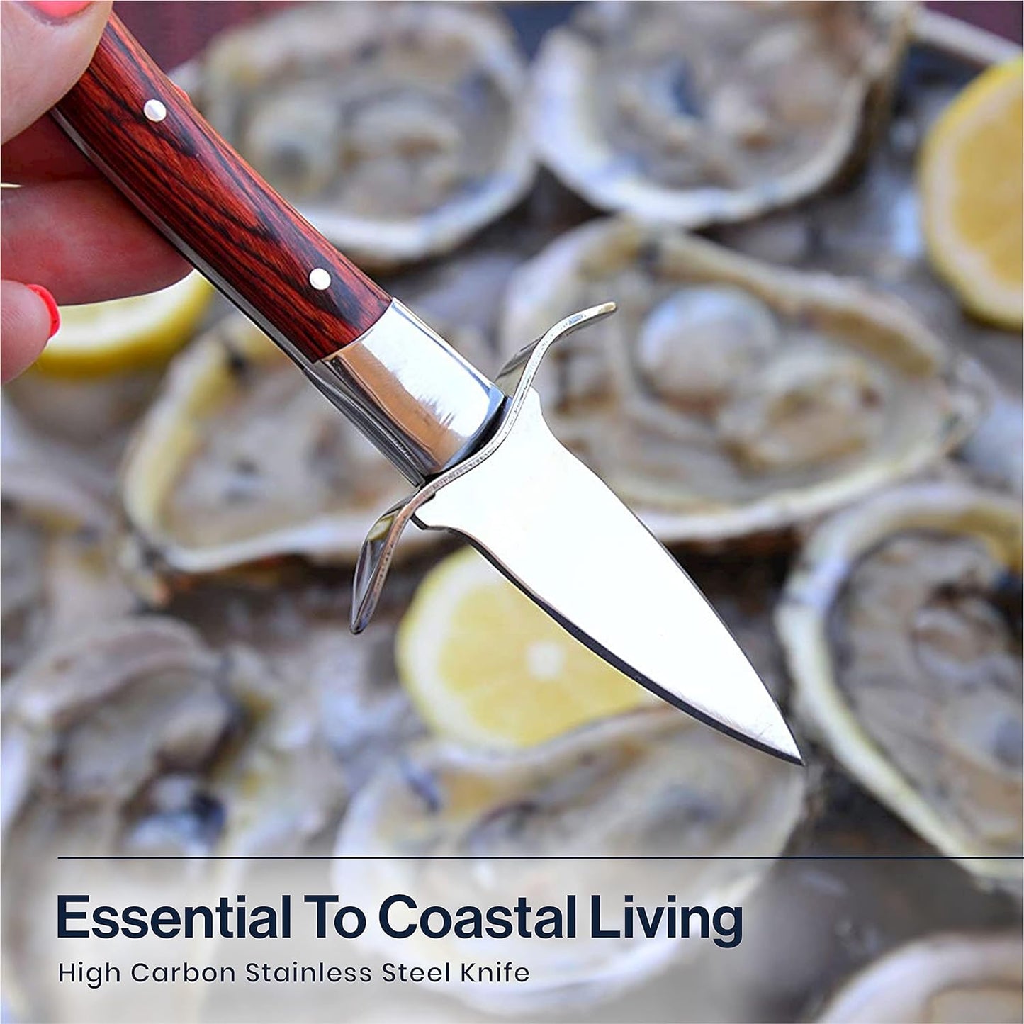 Oyster Knife Shucker Kit, Professional Oyster Shucking Knife Set with 2 Stainless Steel Seafood Openers, Full Tang Pakka Wood Handles, 2 Sheaths & 2 Pairs of Protective Gloves for Clams
