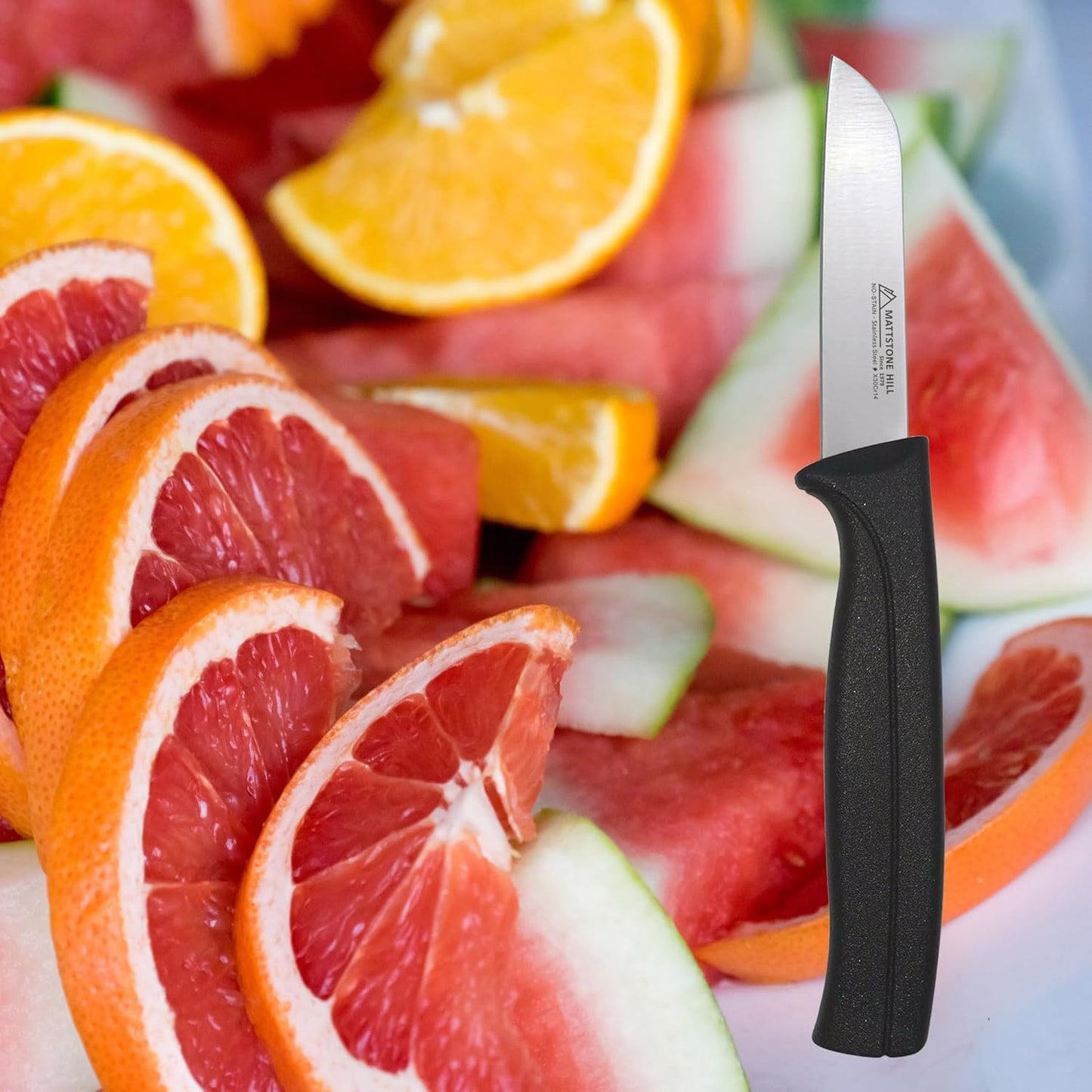 Kitchen Utility Knife - MATTSTONE HILL 4 Inch Paring Knife, Small Fruit & Vegetable Knife, Premium German Stell Blade, Black Handle