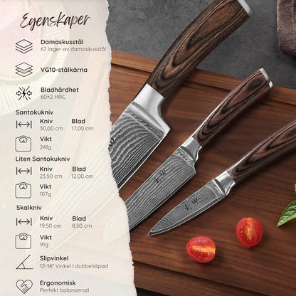 Wakoli Damascus Chef Knife Set with Magnetic Block – 5-Piece Professional Kitchen Knife Block Set, Genuine 67-Layer Damascus Steel Blades with VG10 Core & Ergonomic Sycamore Wood Handles