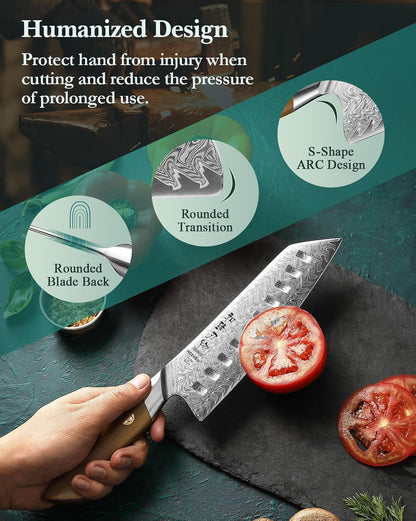 HEZHEN Damascus Chef Knife, 8.5 Inches, 67 Layers Damascus Steel, Professional Japanese Kitchen Knife for Chefs and Home Cooking, Ultra-sharp Blade with Linen Micarta Handle, Gift Packing
