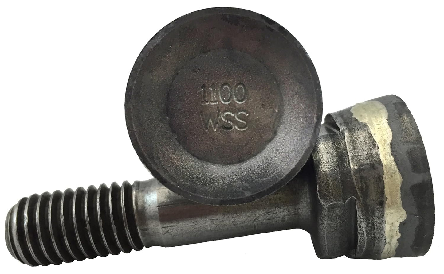 1100 Series Greenteeth 10 Pack (Wearsharp)