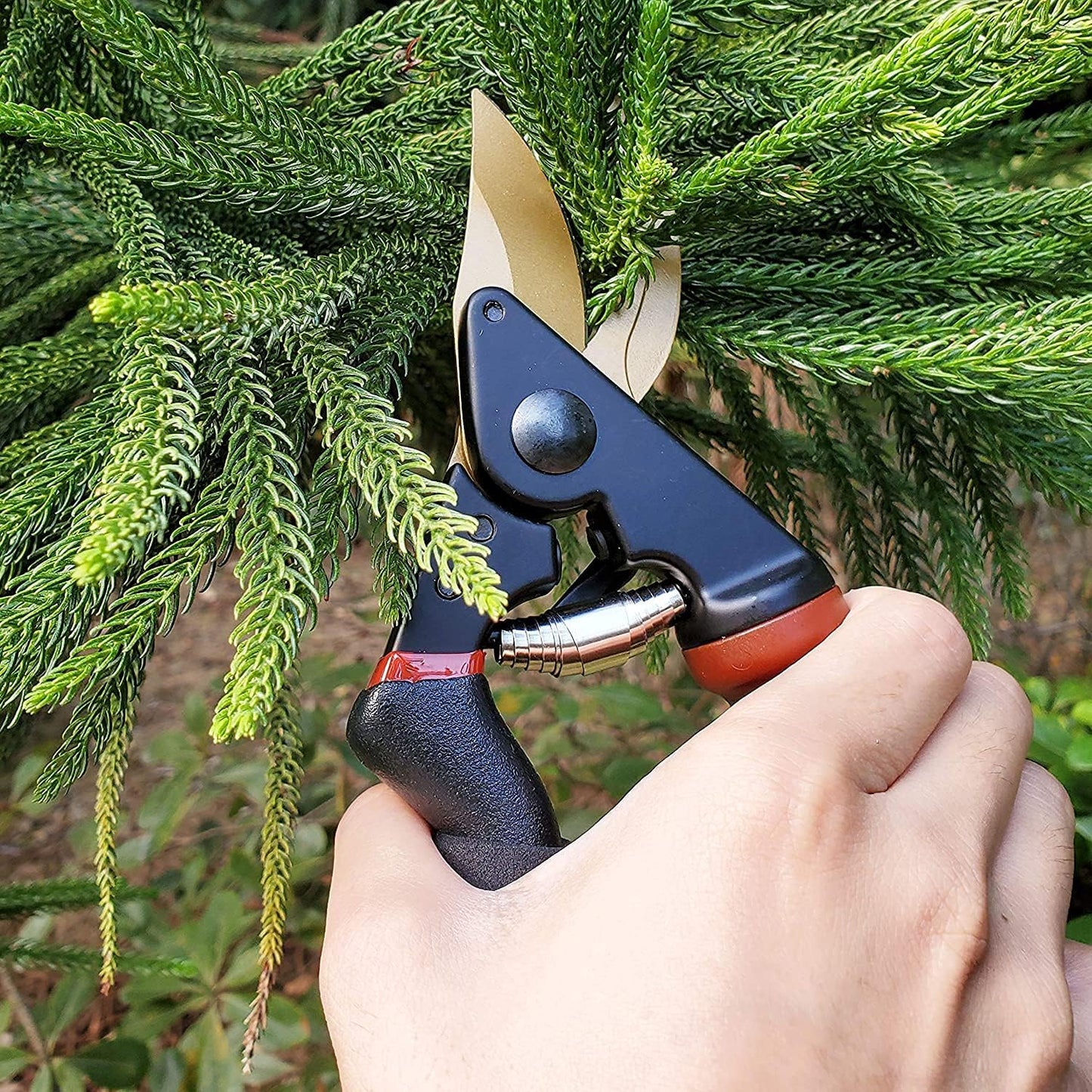 gonicc 8" Professional Premium Titanium Bypass Pruning Shears (GPPS-1003), Hand Pruners, Garden Clippers, Bonsai Cutters