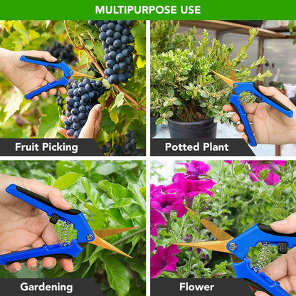 iPower 6.5 Inch Gardening Hand Pruner Pruning Shears Trimming Scissors with Straight Stainless Steel Blades for Bonsai, Herb, Bud, Hedge, 4-Pack, Yellow