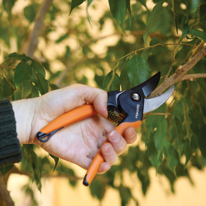 Fiskars 2-Piece Pruning & Veggie Shears Set, Explore Collection Garden Tool Kit, Bypass Pruner for Light Trimming, Vegetable Shears with Serrated Stainless Steel Blades for Harvesting Flowers & Herbs