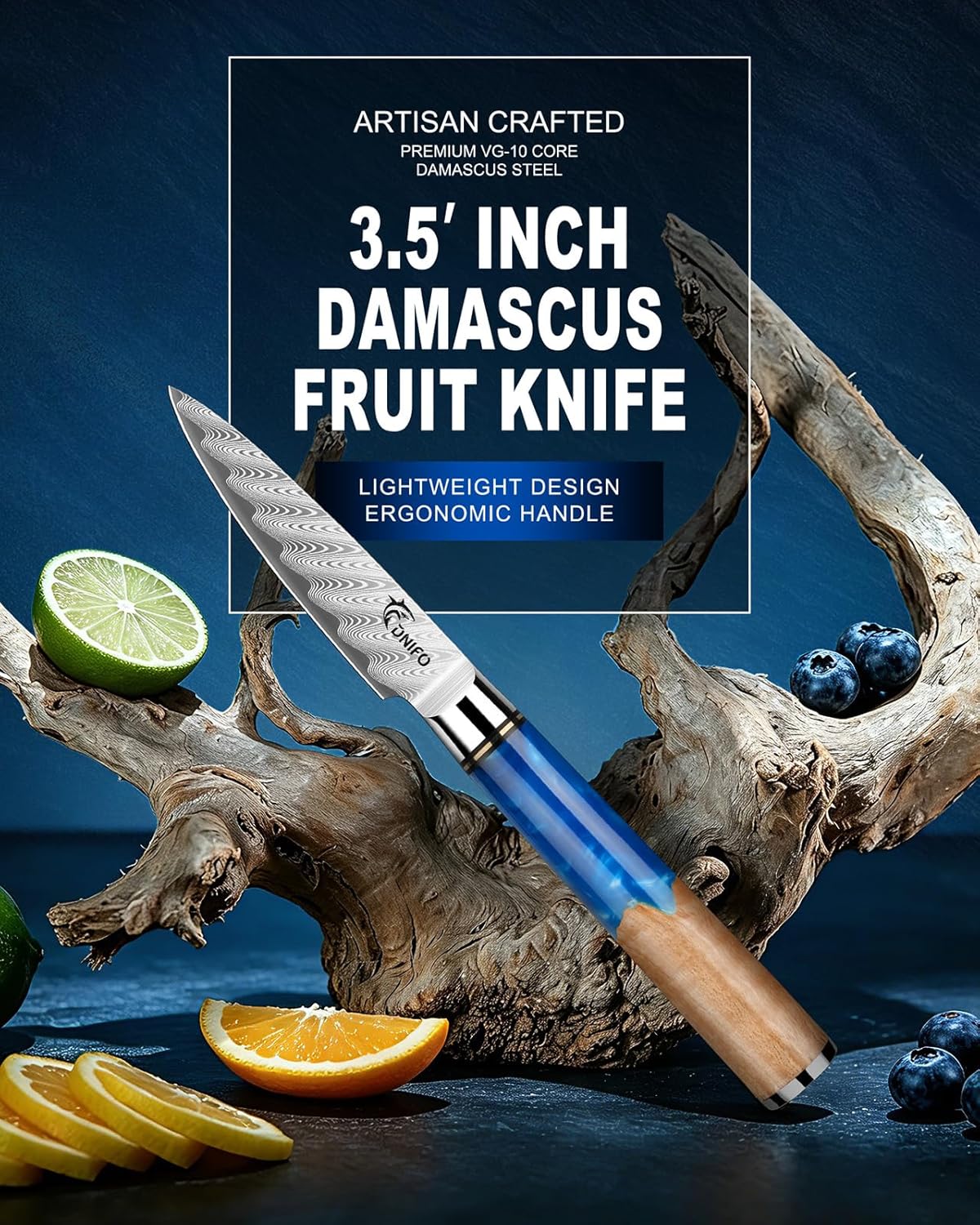 Classic Paring Knife 3.5 Inch, Japanese VG10 Steel Damascus Fruit Knife, Sharp Small Kitchen Knife with Gift Box and Resin Wood Handle,Ideal Birthday Gift for Men and Women