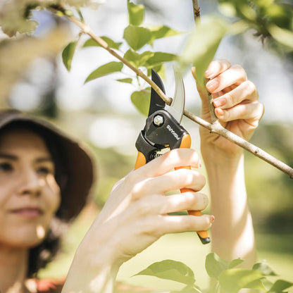 Fiskars 2-Piece Pruning & Veggie Shears Set, Explore Collection Garden Tool Kit, Bypass Pruner for Light Trimming, Vegetable Shears with Serrated Stainless Steel Blades for Harvesting Flowers & Herbs