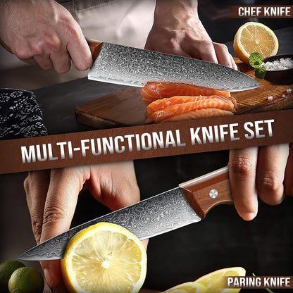DRAGON RIOT Damascus Boning Knife 6 inch, Professional VG-10 Steel Japanese Fillet Knife, Flexible Deboning Knife,Kitchen Trimming Knife with Ergonomic Wood Handle, Premium Gift Box