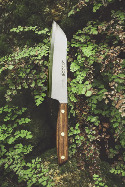 Arcos Deba Knife 7 Inch Stainless Steel. Japanese Kitchen Knife for Fish, Meat and Vegetables. Ovengkol Wood Handle 100% natural FSC and 170mm Blade. Series Nordika. Color Brown.