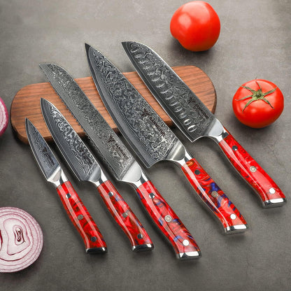 Steak Knives Set of 4, Ultra Sharp Non Serrated Kitchen Steak Knife 5 Inch - Damascus Steel & Resin Handle - Xuan Series (Sapphire Blue)