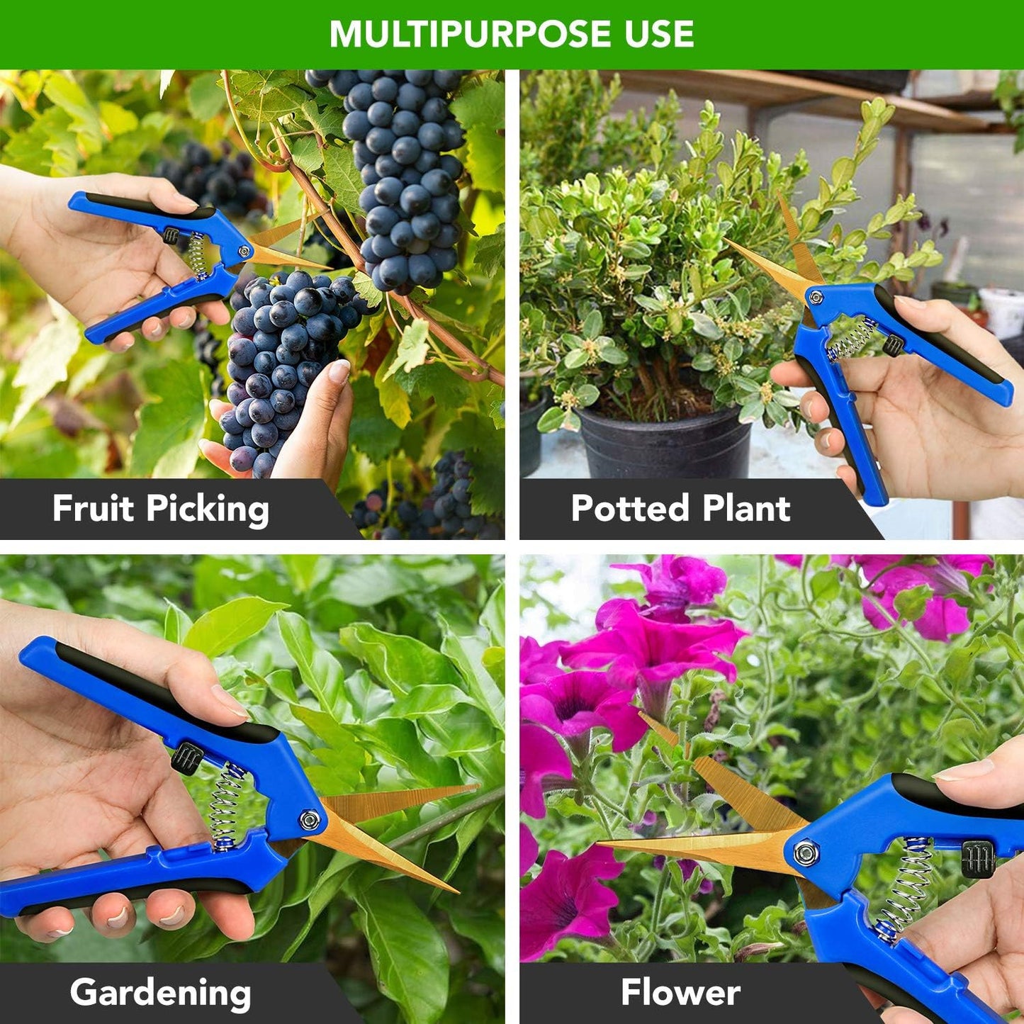 iPower 6.5 Inch Gardening Hand Pruner Pruning Shears Trimming Scissors with Straight Stainless Steel Blades for Bonsai, Herb, Bud, Hedge, 4-Pack, Yellow
