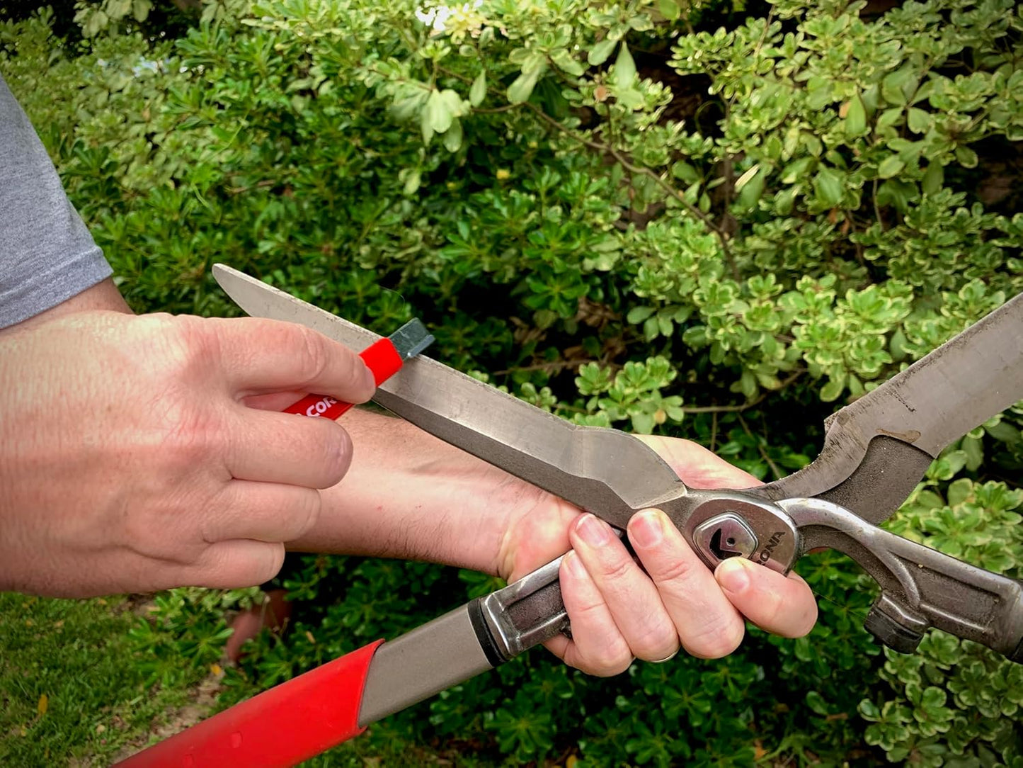 Corona Tools Handheld Garden Tool Sharpener– Blade Sharpener for Pruning Shears, Loppers, Hedge Clippers & More