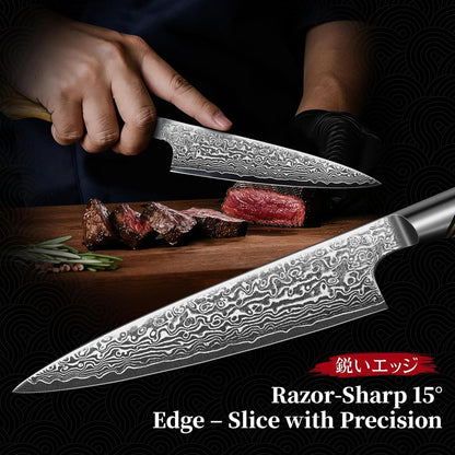 TIVOLI Japanese Gyuto Knife 10 Inch– VG-10 Damascus Chef Knife with Razor Sharp Blade and Ergonomic Olive Wood Handle, Ideal for Meat, Vegetables & Daily Cooking
