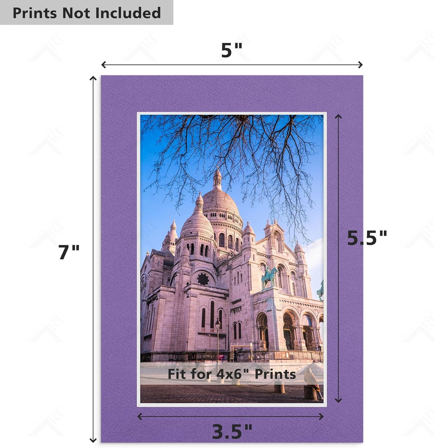 Golden State Art, Pack of 10 Mix Pre-Cut 5x7 Picture Mat for 4x6 Photo with White Core Bevel Cut Mattes Sets. Includes 10 High Premier Acid Free Bevel Cut Matts & 10 Backing Board & 10 Clear Bags