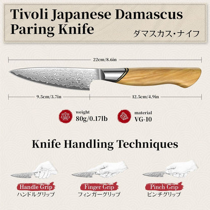 TIVOLI Japanese Gyuto Knife 10 Inch– VG-10 Damascus Chef Knife with Razor Sharp Blade and Ergonomic Olive Wood Handle, Ideal for Meat, Vegetables & Daily Cooking