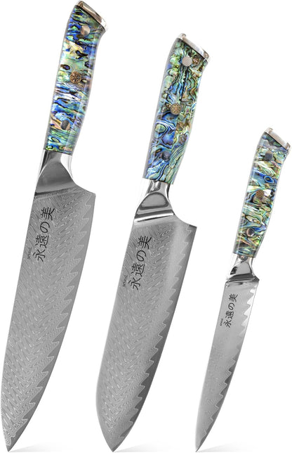 Damascus Kitchen Knife Set | 67-Layer Damascus Steel | Professional Japanese Chef Knife Set | Ergonomic Wood & Resin Handle | Gift Box Included (Black, 5-Piece Set)