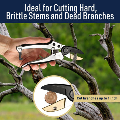 Pruning Shears - Garden Scissors Florist Snips - 2.5” Blades - Flower Scissors for Cutting Fresh Flowers, Trimming, or Harvesting Herbs or Fruit - Pruners for Gardening Tools by Kings County Tools