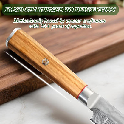 9 Inch Damascus Carving Knife - Brisket Knife 67 Layer VG-10 Steel Core with Olive Wood Handle, 62 HRC Precision Sharp Professional Kitchen Knife for Meat Slicing and BBQ, Gift Box Included