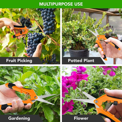 iPower 6.5 Inch Gardening Hand Pruner Pruning Shears Trimming Scissors with Straight Stainless Steel Blades for Bonsai, Herb, Bud, Hedge, 4-Pack, Yellow