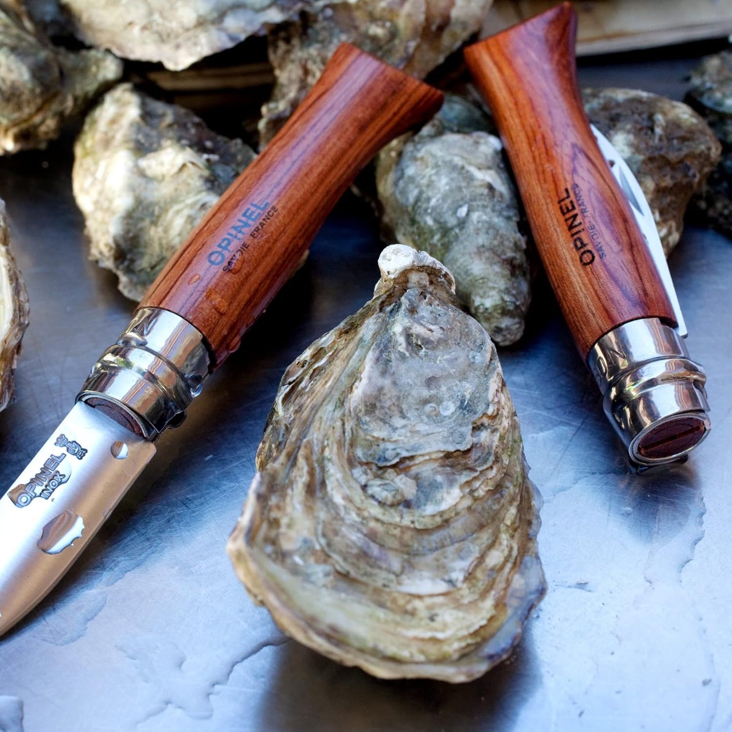 Opinel No.09 Stainless Steel Folding Oyster & Shellfish Knife with Padouk Handle