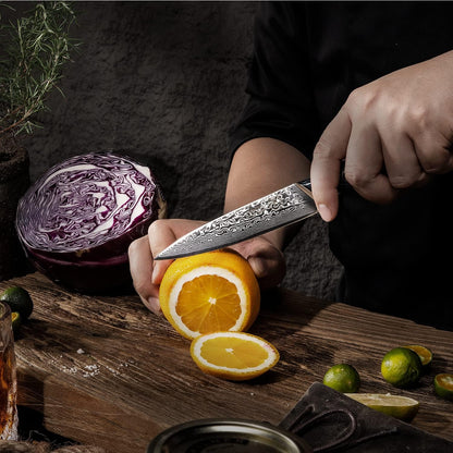 FANTECK 6 Inch Boning Fillet Knife,Damascus Japanese 67 Layer Professional Sharp Curved Flexible Blade Kitchen Chef Knives with Sheath for Fish Poultry Chicken Meat Cutting,G10 Handle