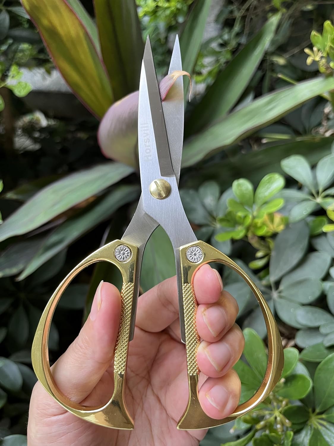 Indoor Plant Shears Garden Scissors, Flower Pruners Made of Japan SK5 Stainless Steel, Flowers Herbs and Plant Cutters, Clippers, Trimmers, Loppers, Bonsai Potted Plant Pruning Scissors