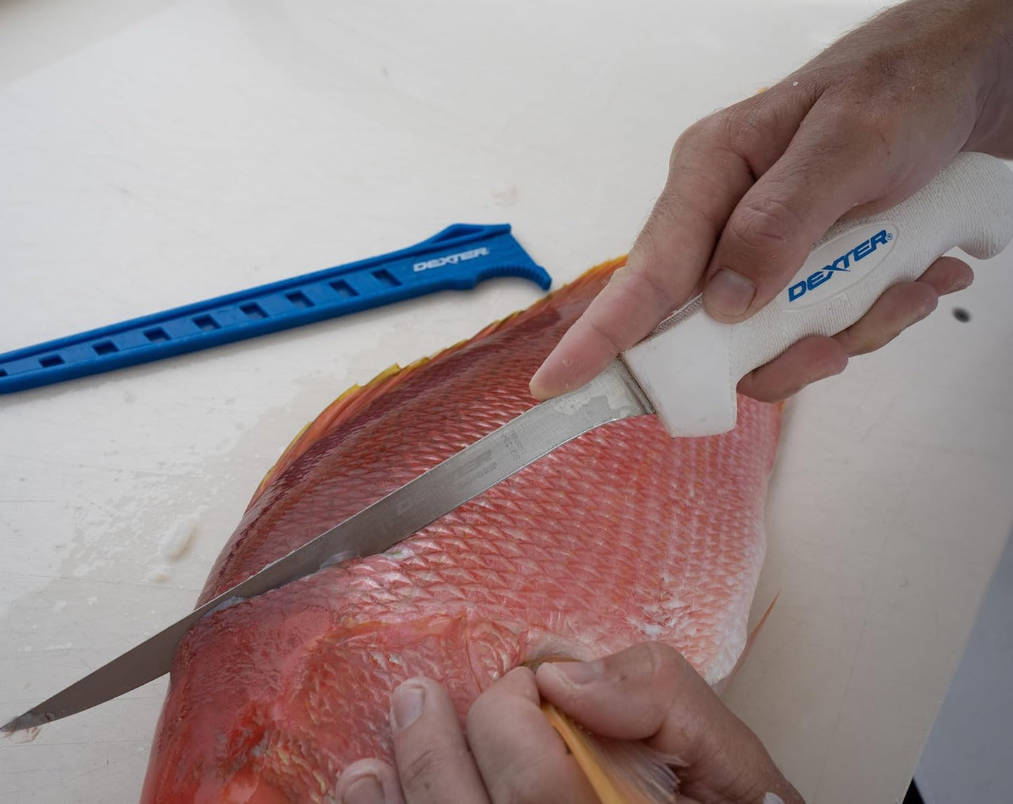 Dexter Outdoors 6" SOFGRIP Fillet Knife | Includes Edge Guard
