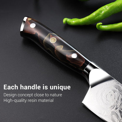 Kitchen Utility Knife,6 Inch Class Damascus Chef Knife,Japanese Petty Paring Knife