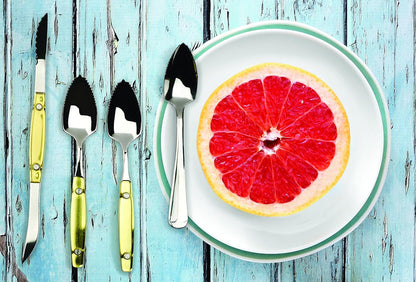 Endurance Grapefruit Tool Collection Stainless Steel, Dishwasher Safe, Double Knife