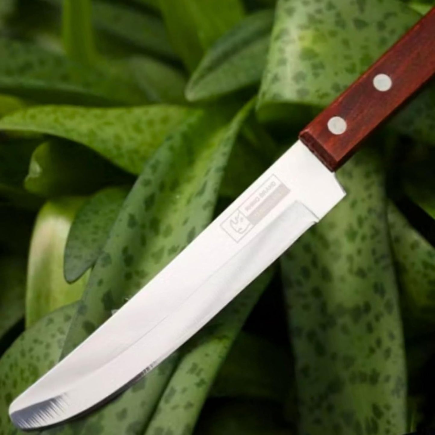 Round Tip Kitchen Knife, Blunt Paring Knife, Safety Knives for Seniors Elderly, Non-Pointed Safety Tip, for Cutting Fruits and Vegetables, Smooth Sharp Blade (One Knife)