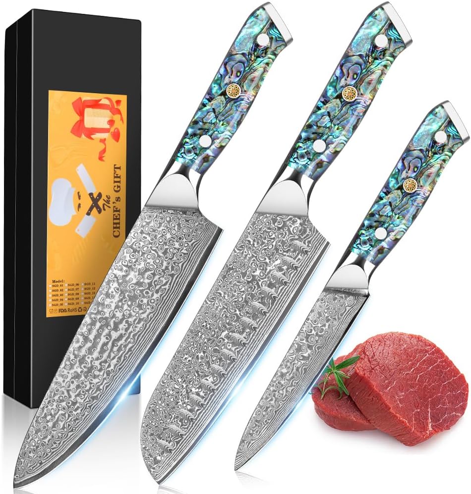 Damascus Kiritsuke Knife 8 inch, Professional Chef Knife, Sharp Hand-Forged Kitchen Knives,Japanese 67-Layers Damascus Steel Cooking Knife,Ergonomic Abalone Shell Ressin Handle with Gift Box